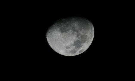 IMG_1740.jpg