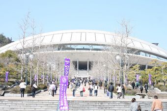 IMG_2359.JPG
