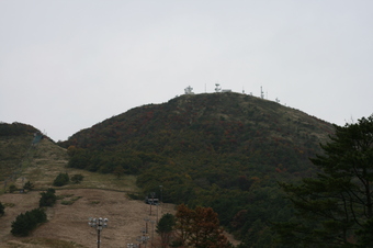 IMG_1165.JPG