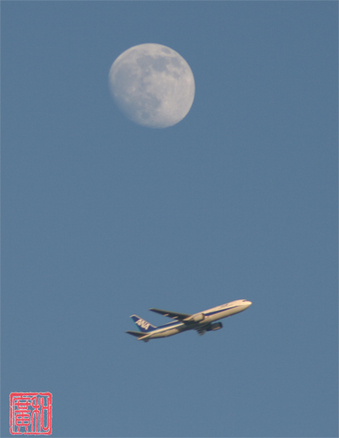 20091229ana.jpg